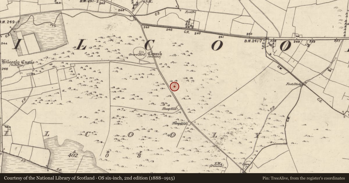 Ordnance Survey six-inch map, 2nd edition (1888–1915) covering the location of Enclosure, Kilcooly, County Galway, with a pin at the register's coordinates