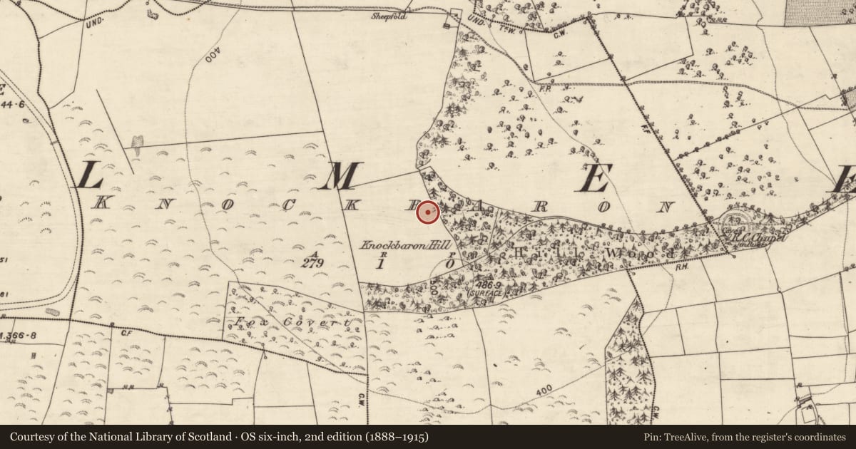 Ordnance Survey six-inch map, 2nd edition (1888–1915) covering the location of Enclosure, Knockbaron, County Galway, with a pin at the register's coordinates