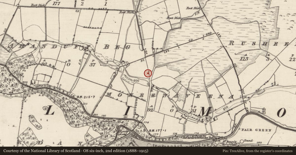 Ordnance Survey six-inch map, 2nd edition (1888–1915) covering the location of Tunnel, County Galway, with a pin at the register's coordinates