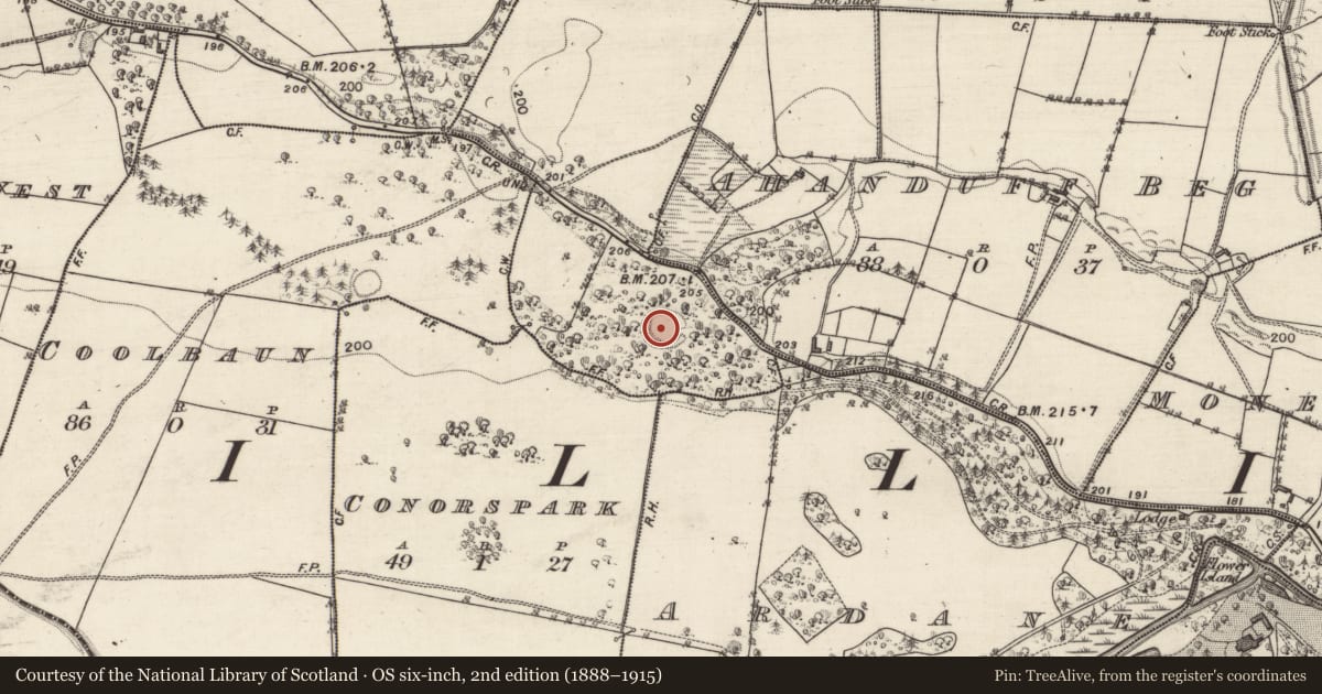 Ordnance Survey six-inch map, 2nd edition (1888–1915) covering the location of Ringfort - rath, Ahanduff More, County Galway, with a pin at the register's coordinates