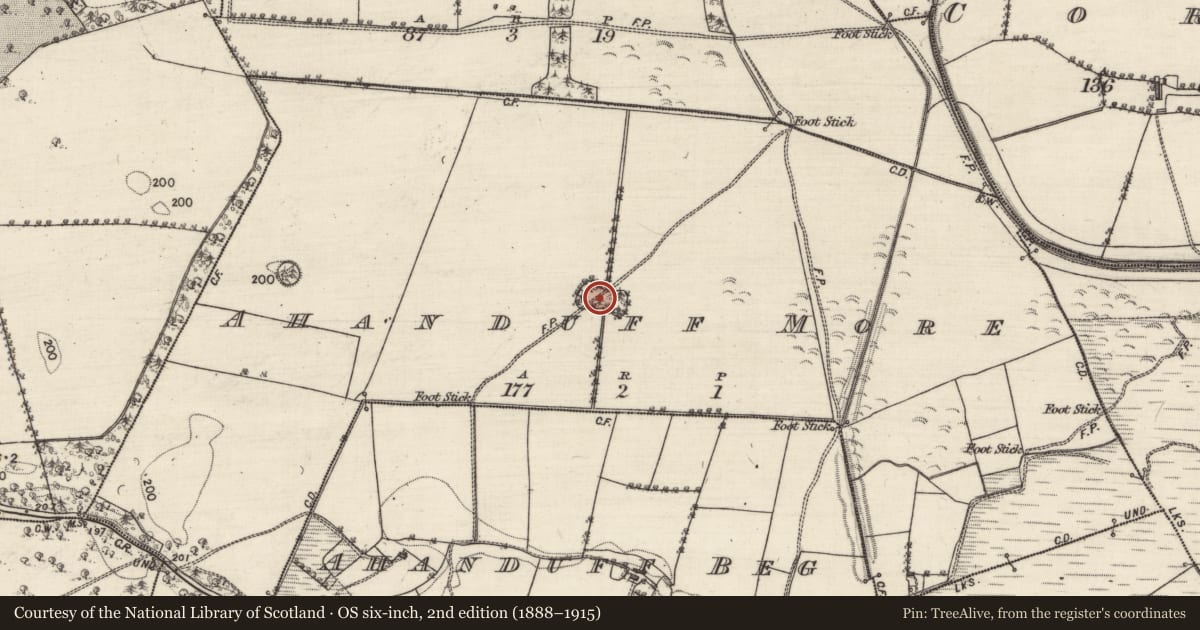 Ordnance Survey six-inch map, 2nd edition (1888–1915) covering the location of Designed landscape - folly, Ahanduff More, County Galway, with a pin at the register's coordinates