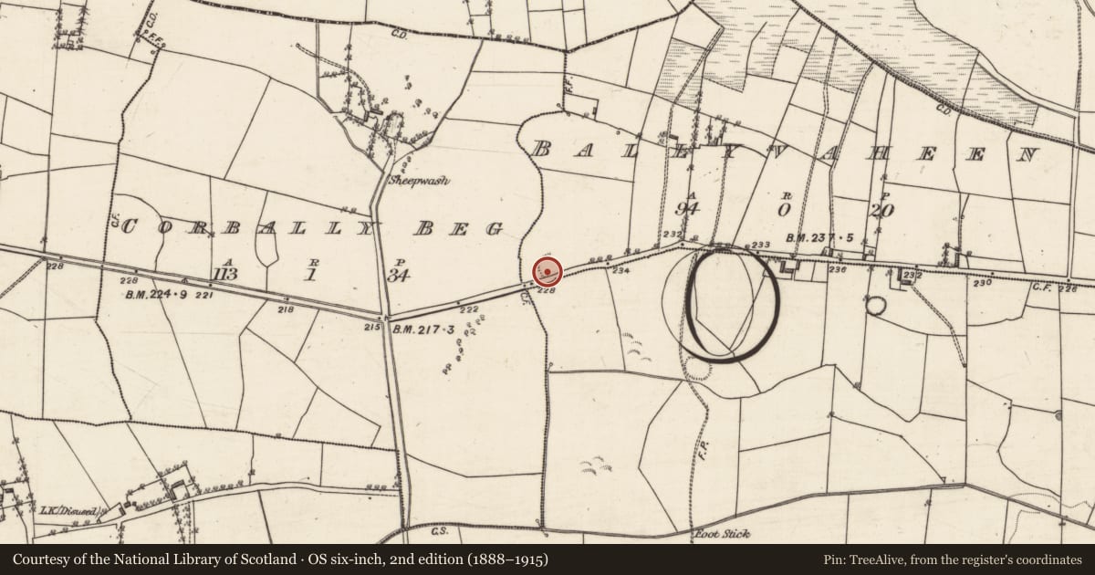 Ordnance Survey six-inch map, 2nd edition (1888–1915) covering the location of Ringfort - rath, Eskerboy, Ballyvaheen, County Galway, with a pin at the register's coordinates