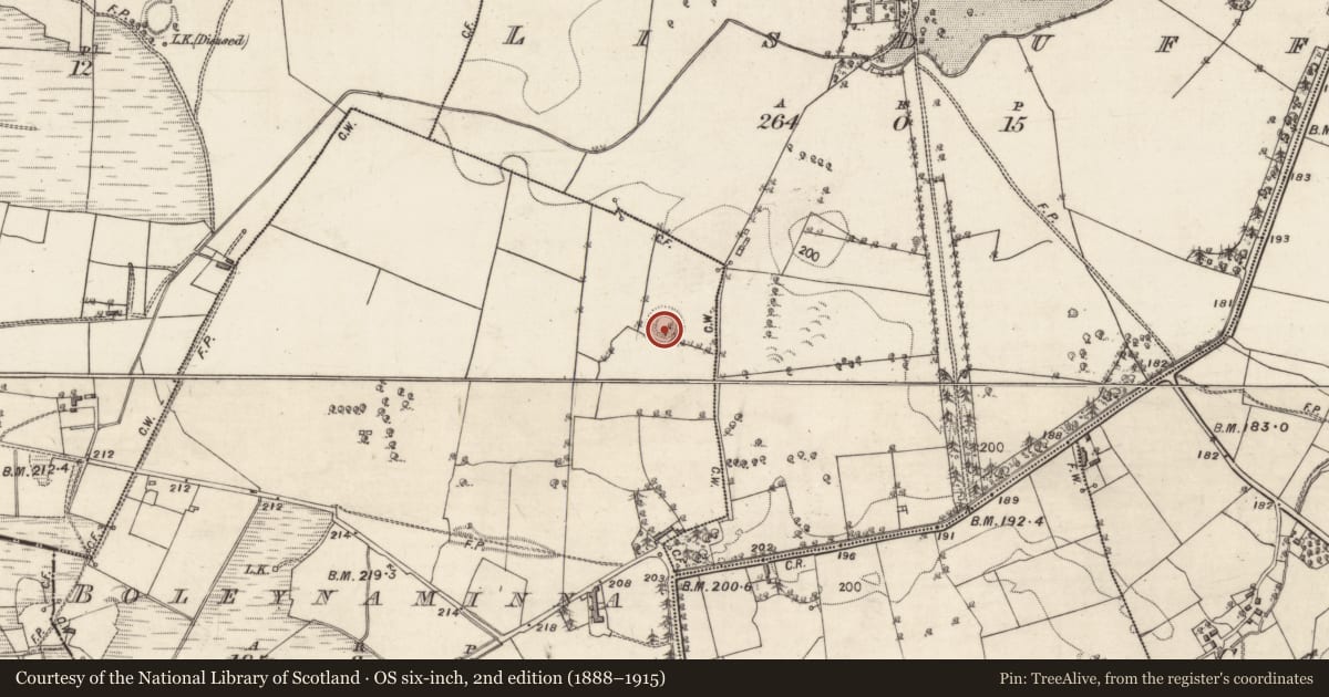 Ordnance Survey six-inch map, 2nd edition (1888–1915) covering the location of Enclosure, Boleynaminna, County Galway, with a pin at the register's coordinates