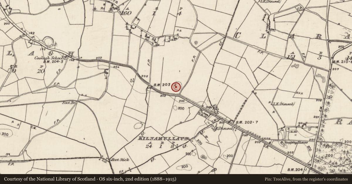 Ordnance Survey six-inch map, 2nd edition (1888–1915) covering the location of Enclosure, Boleyroe, County Galway, with a pin at the register's coordinates