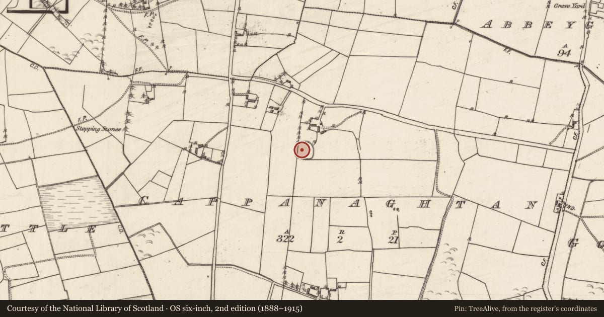 Ordnance Survey six-inch map, 2nd edition (1888–1915) covering the location of Ringfort - rath, Cappanaghtan, County Galway, with a pin at the register's coordinates