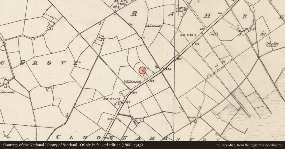 Ordnance Survey six-inch map, 2nd edition (1888–1915) covering the location of Quarry, Cloonnamaskry, County Galway, with a pin at the register's coordinates