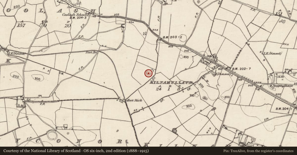 Ordnance Survey six-inch map, 2nd edition (1888–1915) covering the location of Ringfort - rath, Coolagh, County Galway, with a pin at the register's coordinates
