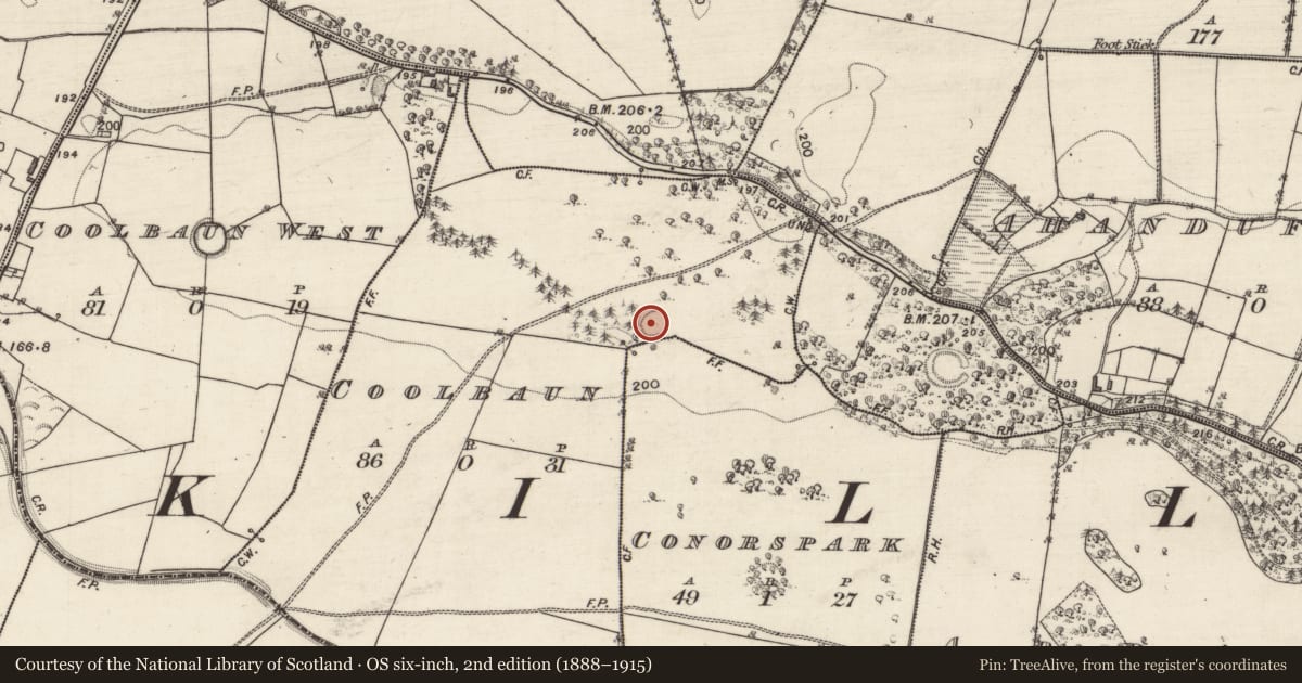 Ordnance Survey six-inch map, 2nd edition (1888–1915) covering the location of Ringfort - rath, Coolbaun, County Galway, with a pin at the register's coordinates