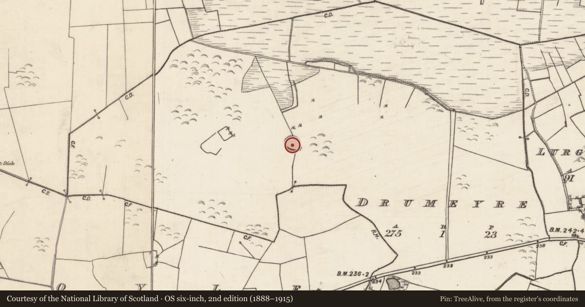 Ordnance Survey six-inch map, 2nd edition (1888–1915) covering the location of Ringfort - rath, Drumeyre, County Galway, with a pin at the register's coordinates