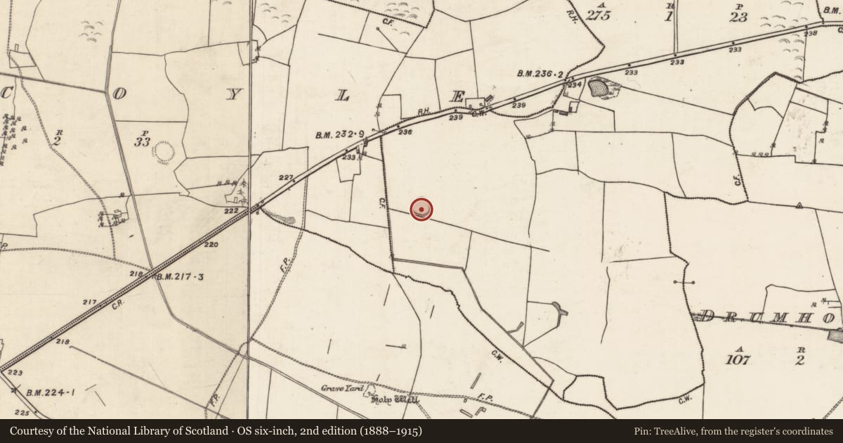 Ordnance Survey six-inch map, 2nd edition (1888–1915) covering the location of Ringfort - rath, Drumeyre, County Galway, with a pin at the register's coordinates