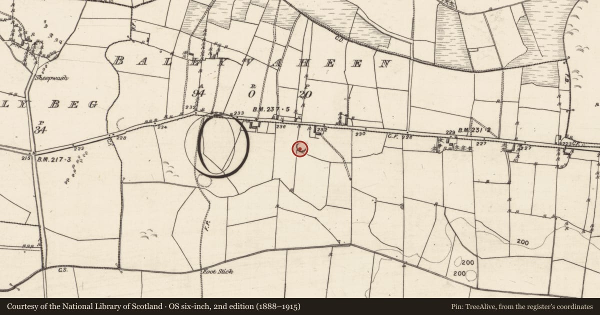Ordnance Survey six-inch map, 2nd edition (1888–1915) covering the location of Ringfort - rath, Eskerboy, County Galway, with a pin at the register's coordinates