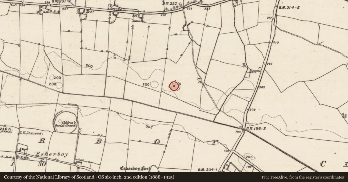 Ordnance Survey six-inch map, 2nd edition (1888–1915) covering the location of Ringfort - rath, Eskerboy, County Galway, with a pin at the register's coordinates