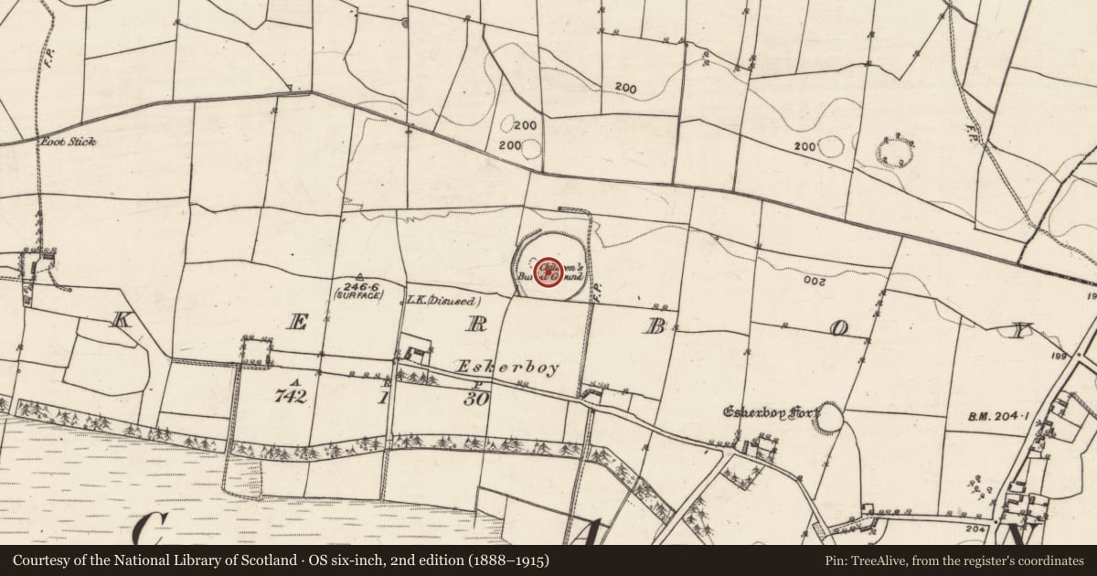 Ordnance Survey six-inch map, 2nd edition (1888–1915) covering the location of Ecclesiastical enclosure, Eskerboy, County Galway, with a pin at the register's coordinates