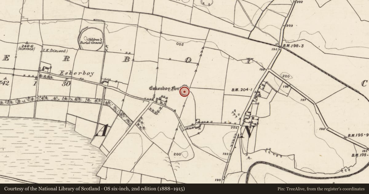Ordnance Survey six-inch map, 2nd edition (1888–1915) covering the location of Ringfort - rath, Eskerboy, County Galway, with a pin at the register's coordinates