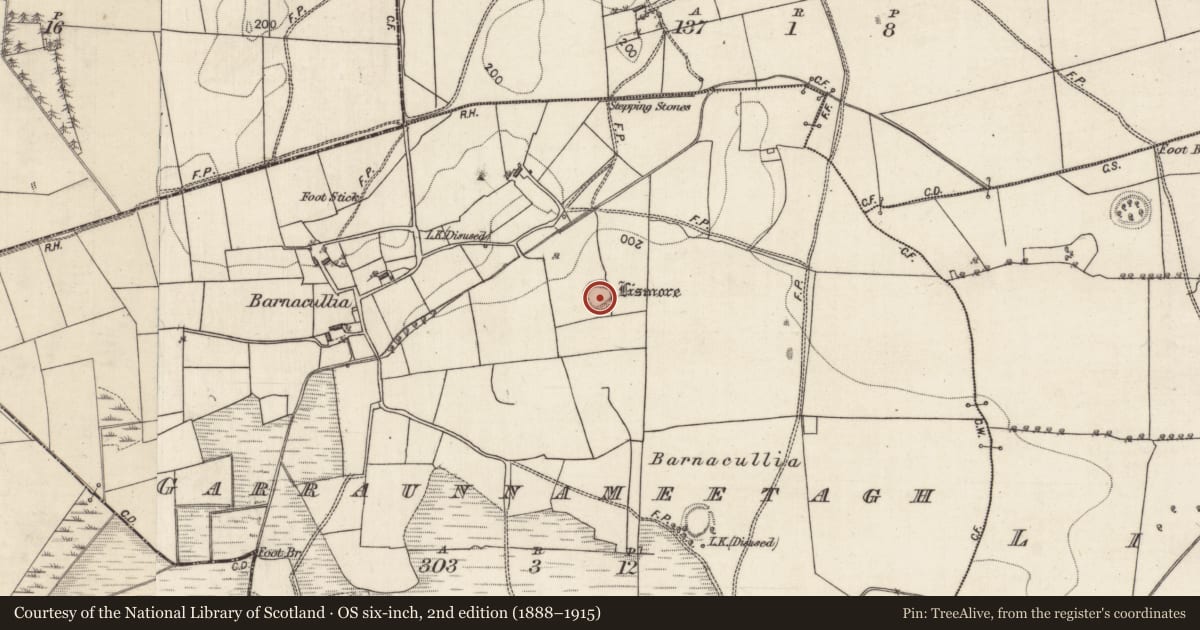 Ordnance Survey six-inch map, 2nd edition (1888–1915) covering the location of Ringfort - rath, Garraunnameetagh, County Galway, with a pin at the register's coordinates