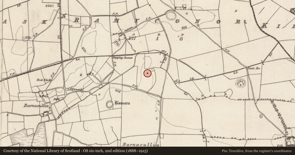 Ordnance Survey six-inch map, 2nd edition (1888–1915) covering the location of Ringfort - rath, Garraunnameetagh, County Galway, with a pin at the register's coordinates