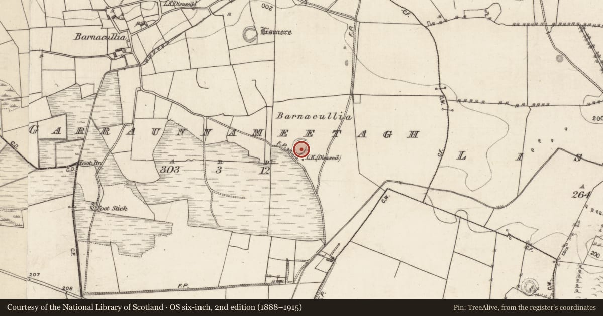 Ordnance Survey six-inch map, 2nd edition (1888–1915) covering the location of Ringfort - rath, Garraunnameetagh, County Galway, with a pin at the register's coordinates