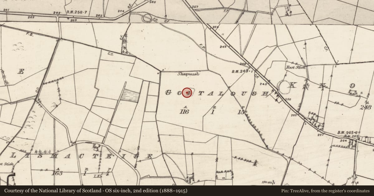 Ordnance Survey six-inch map, 2nd edition (1888–1915) covering the location of Ringfort - rath, Gortalough, County Galway, with a pin at the register's coordinates