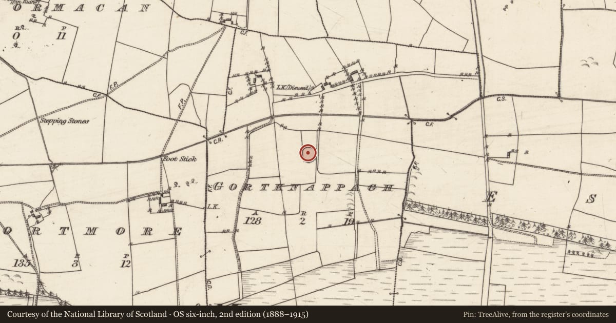 Ordnance Survey six-inch map, 2nd edition (1888–1915) covering the location of Ringfort - rath, Gortknappagh, County Galway, with a pin at the register's coordinates