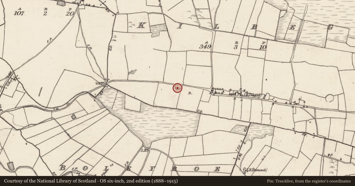 Ordnance Survey six-inch map, 2nd edition (1888–1915) covering the location of Ringfort - rath, Kilbeg, County Galway, with a pin at the register's coordinates