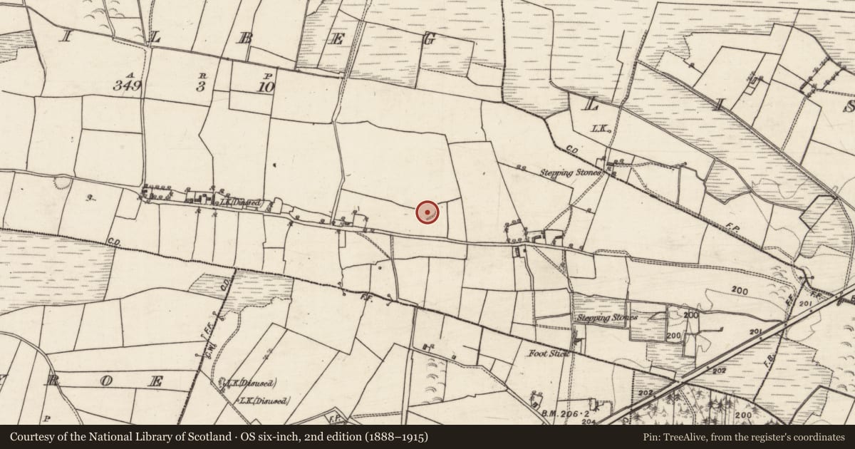 Ordnance Survey six-inch map, 2nd edition (1888–1915) covering the location of Ringfort - rath, Kilbeg, County Galway, with a pin at the register's coordinates