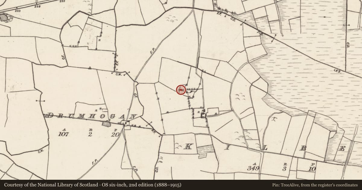 Ordnance Survey six-inch map, 2nd edition (1888–1915) covering the location of Enclosure, Kilbeg, County Galway, with a pin at the register's coordinates
