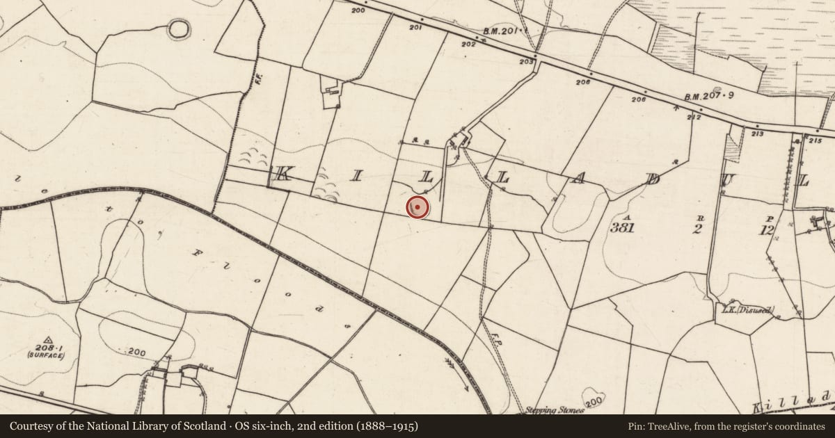 Ordnance Survey six-inch map, 2nd edition (1888–1915) covering the location of Ringfort - rath, Killadullisk, County Galway, with a pin at the register's coordinates