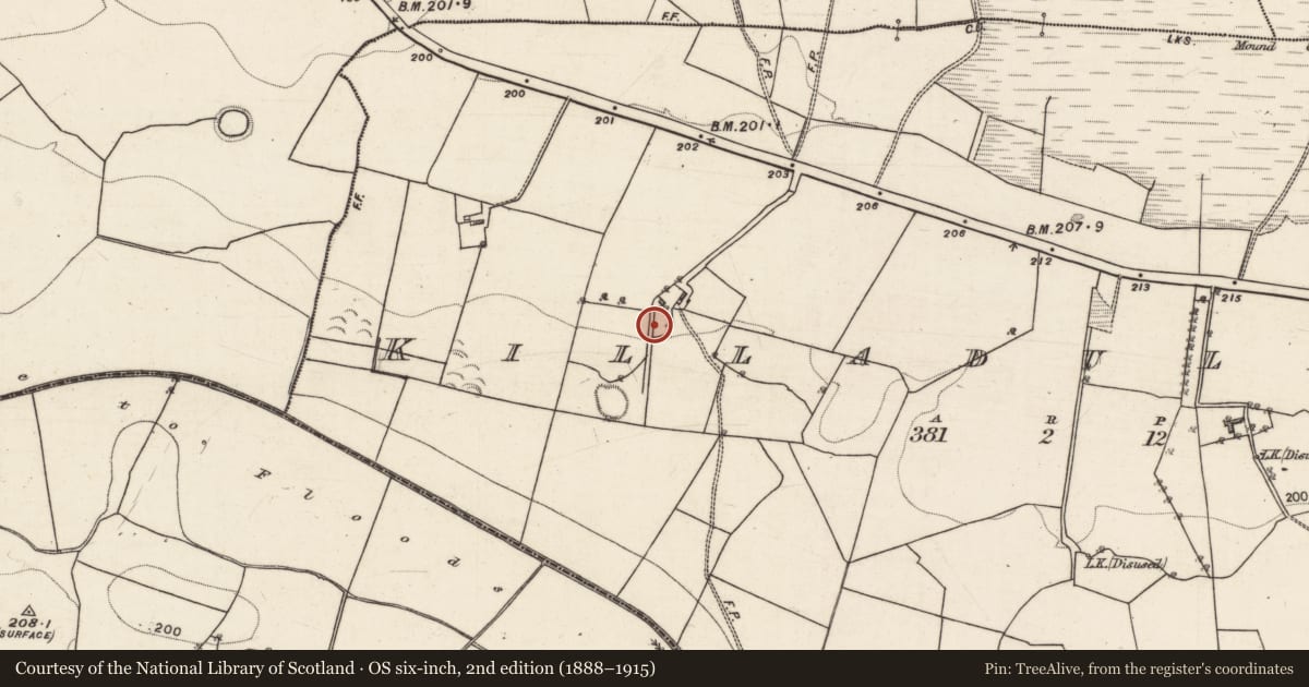 Ordnance Survey six-inch map, 2nd edition (1888–1915) covering the location of Ringfort - rath, Killadullisk, County Galway, with a pin at the register's coordinates