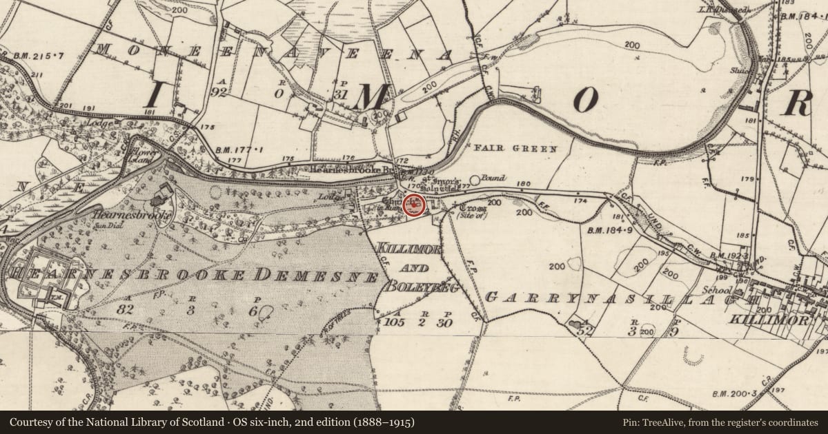 Ordnance Survey six-inch map, 2nd edition (1888–1915) covering the location of Graveslab, Killimor And Boleybeg, County Galway, with a pin at the register's coordinates