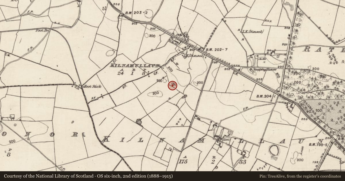 Ordnance Survey six-inch map, 2nd edition (1888–1915) covering the location of Quarry, Kilnamullaun, County Galway, with a pin at the register's coordinates