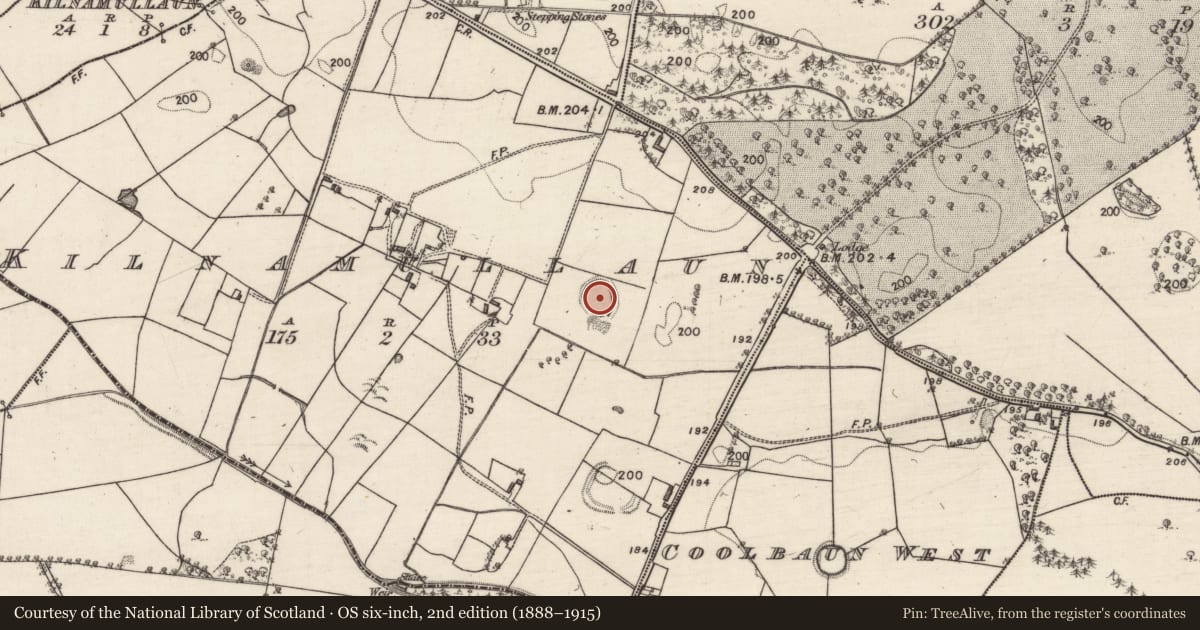 Ordnance Survey six-inch map, 2nd edition (1888–1915) covering the location of Ringfort - rath, Kilnamullaun, County Galway, with a pin at the register's coordinates