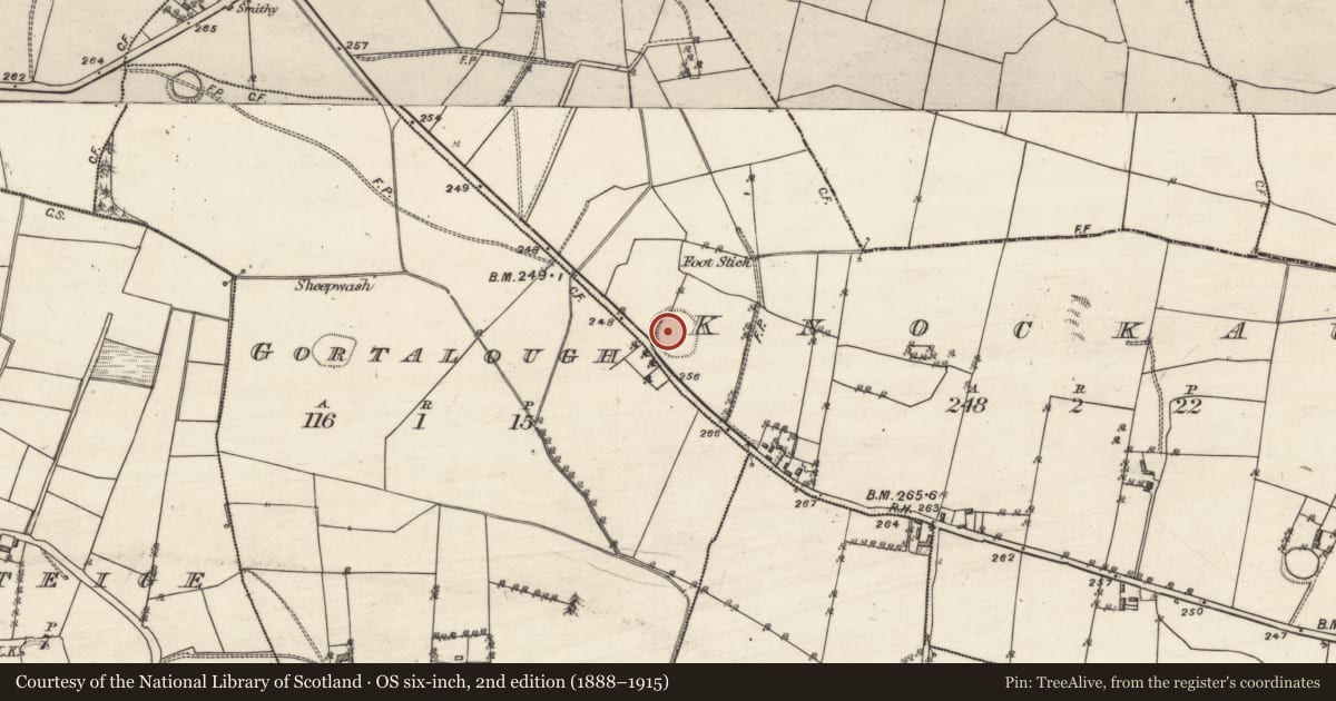 Ordnance Survey six-inch map, 2nd edition (1888–1915) covering the location of Ringfort - rath, Knockaun, County Galway, with a pin at the register's coordinates