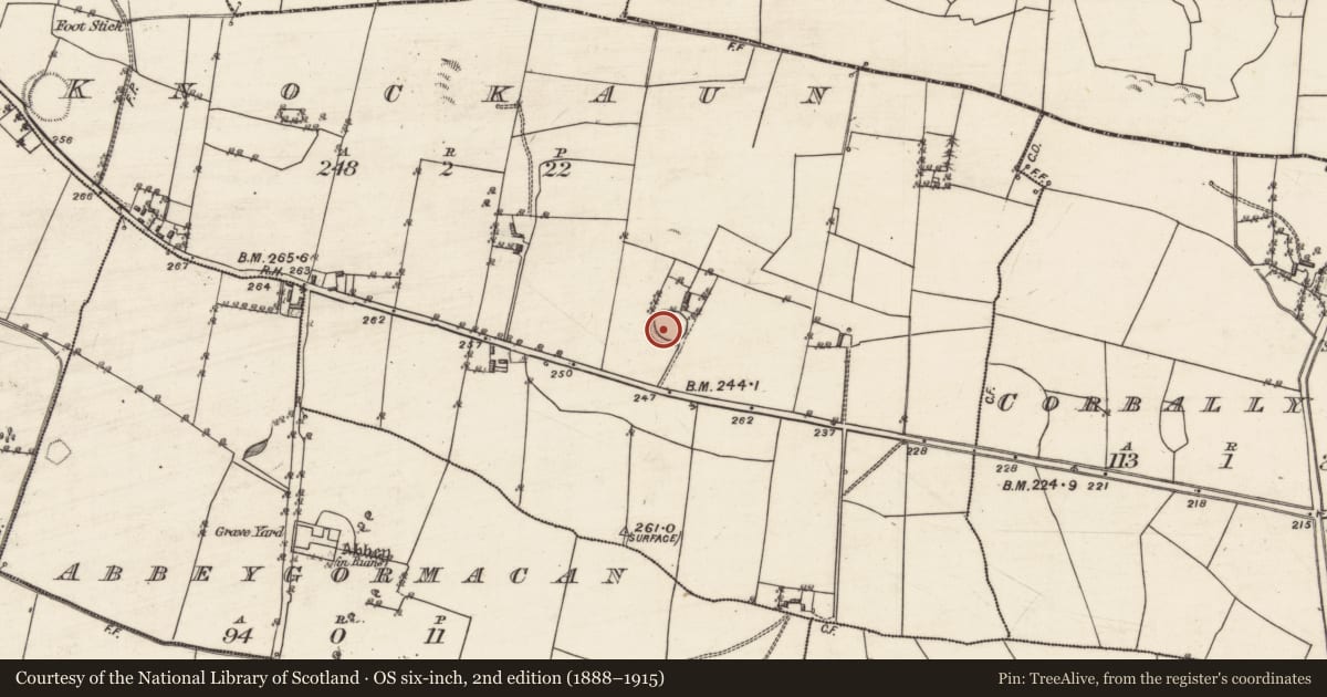 Ordnance Survey six-inch map, 2nd edition (1888–1915) covering the location of Ringfort - rath, Knockaun, County Galway, with a pin at the register's coordinates