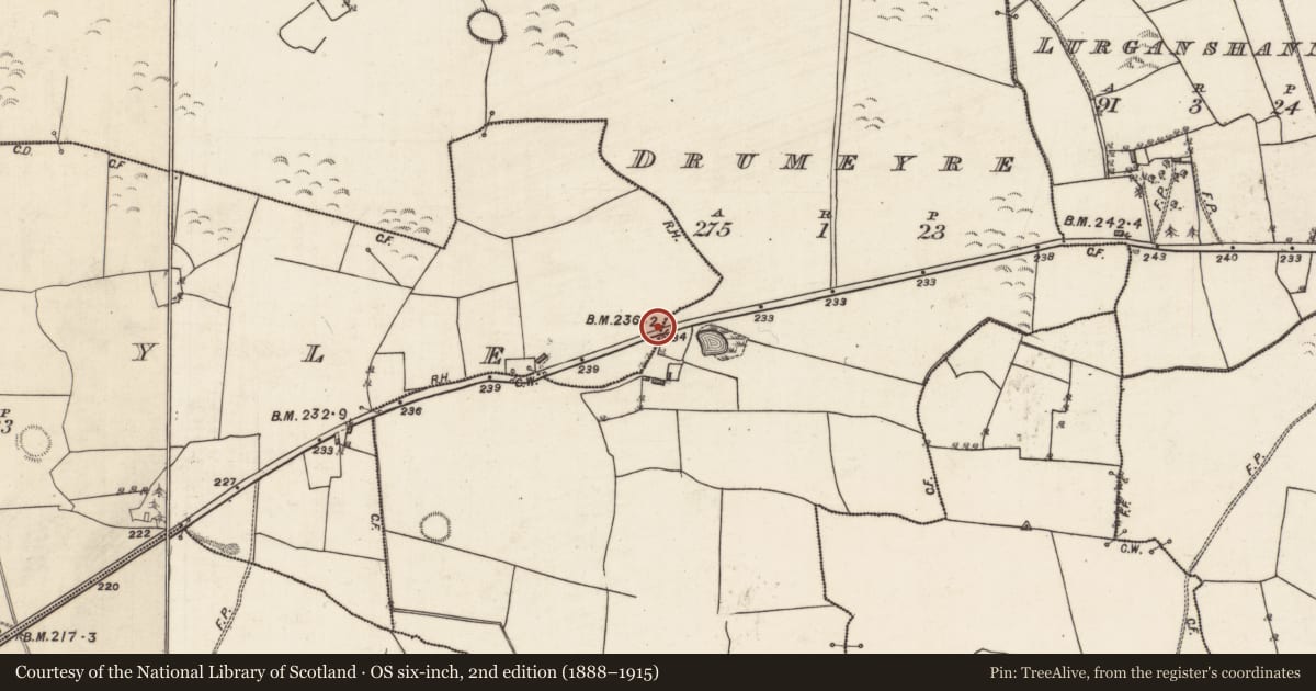 Ordnance Survey six-inch map, 2nd edition (1888–1915) covering the location of Quarry, Liscoyle, County Galway, with a pin at the register's coordinates
