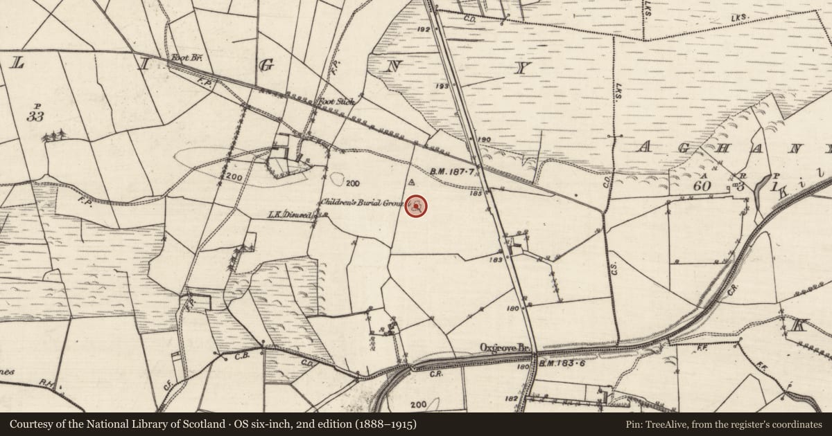 Ordnance Survey six-inch map, 2nd edition (1888–1915) covering the location of Children's burial ground, Lisdeligny, County Galway, with a pin at the register's coordinates