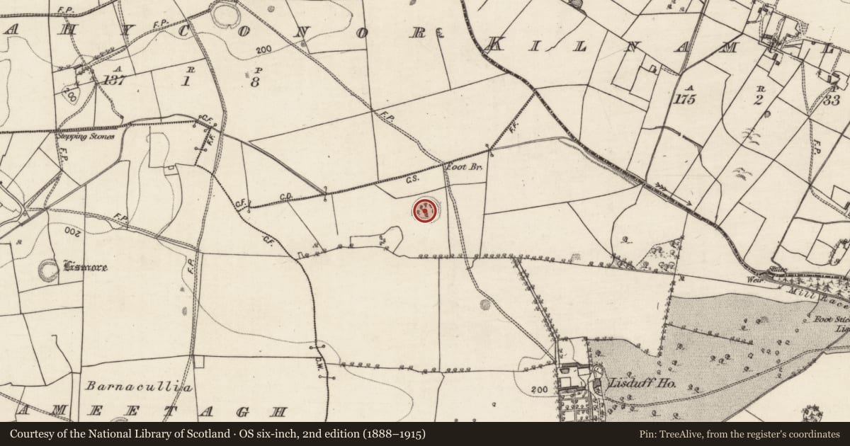 Ordnance Survey six-inch map, 2nd edition (1888–1915) covering the location of Ringfort - rath, Lisduff, County Galway, with a pin at the register's coordinates