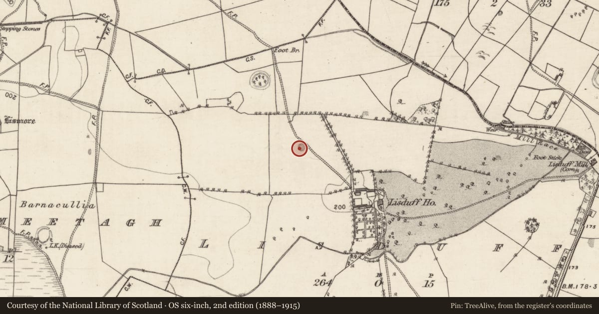 Ordnance Survey six-inch map, 2nd edition (1888–1915) covering the location of Quarry, Lisduff, County Galway, with a pin at the register's coordinates
