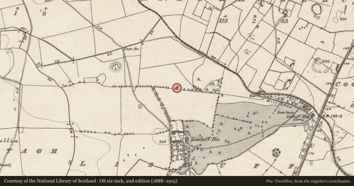 Ordnance Survey six-inch map, 2nd edition (1888–1915) covering the location of Quarry, Lisduff, County Galway, with a pin at the register's coordinates