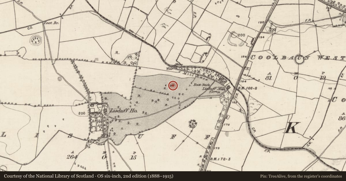 Ordnance Survey six-inch map, 2nd edition (1888–1915) covering the location of Quarry, Lisduff, County Galway, with a pin at the register's coordinates