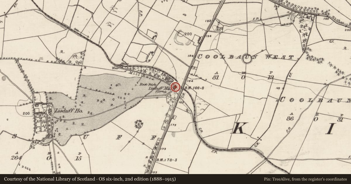 Ordnance Survey six-inch map, 2nd edition (1888–1915) covering the location of Mill - unclassified, Lisduff, County Galway, with a pin at the register's coordinates