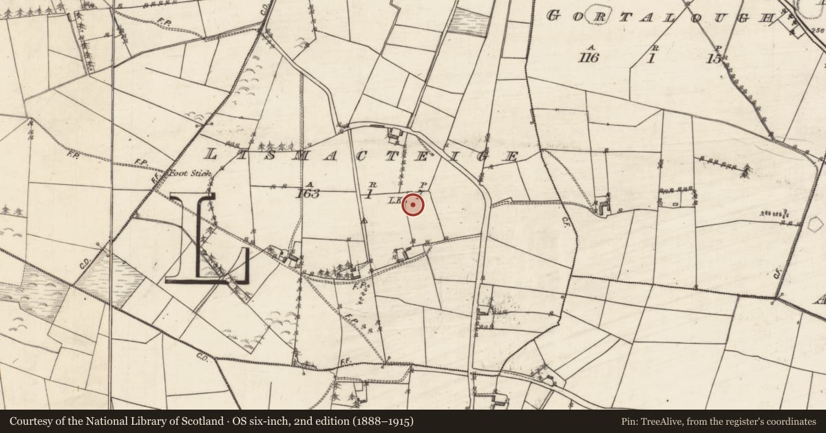 Ordnance Survey six-inch map, 2nd edition (1888–1915) covering the location of Ringfort - rath, Lismacteige, County Galway, with a pin at the register's coordinates