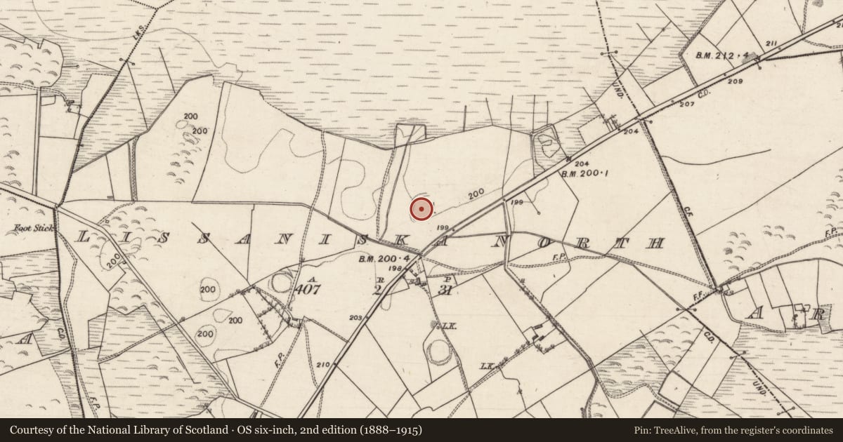 Ordnance Survey six-inch map, 2nd edition (1888–1915) covering the location of Enclosure, Lissaniska North, County Galway, with a pin at the register's coordinates