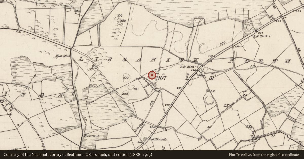 Ordnance Survey six-inch map, 2nd edition (1888–1915) covering the location of Ringfort - rath, Lissaniska North, County Galway, with a pin at the register's coordinates
