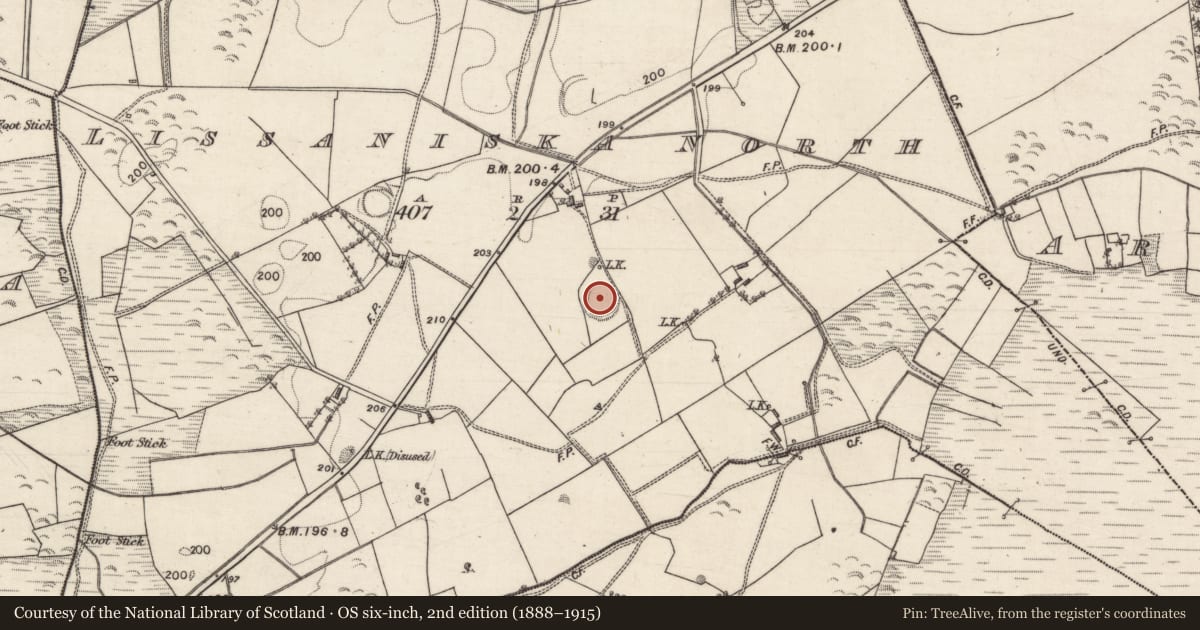 Ordnance Survey six-inch map, 2nd edition (1888–1915) covering the location of Ringfort - rath, Lissaniska North, County Galway, with a pin at the register's coordinates
