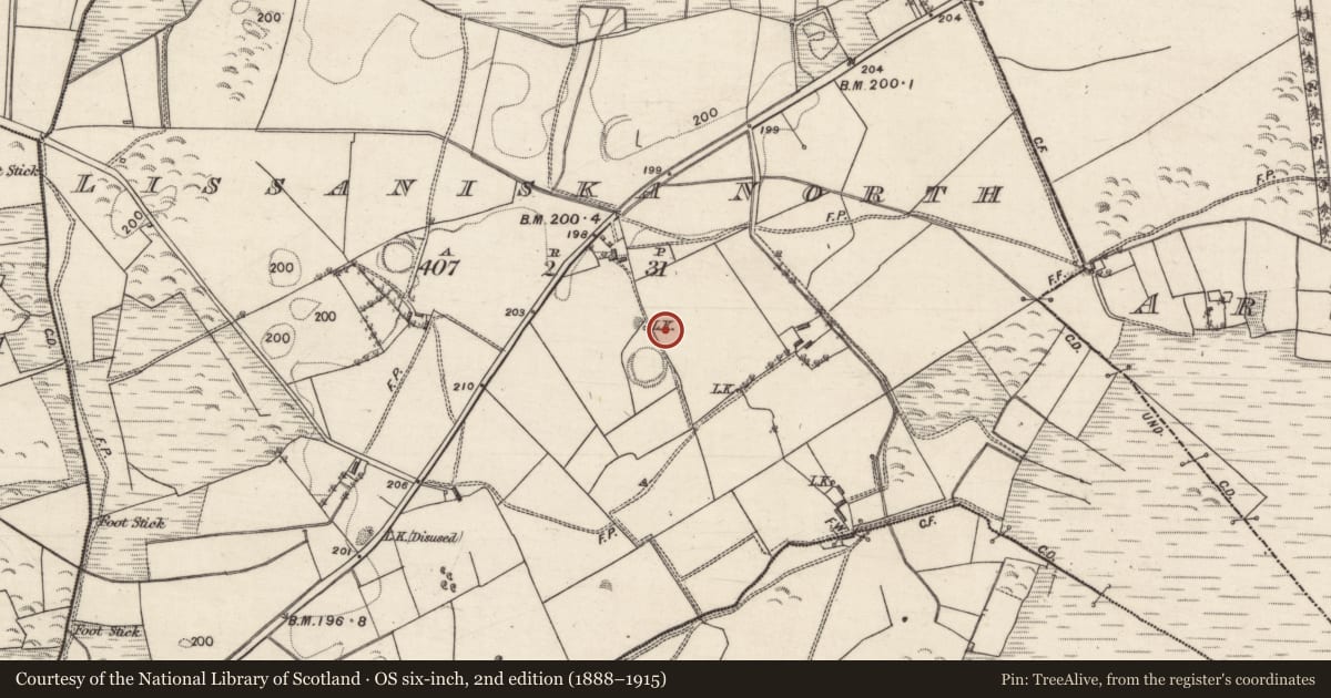 Ordnance Survey six-inch map, 2nd edition (1888–1915) covering the location of Kiln - lime, Lissaniska North, County Galway, with a pin at the register's coordinates