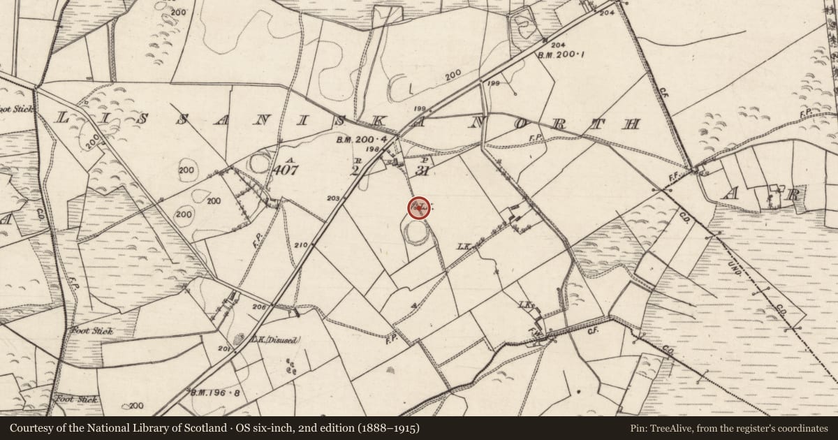 Ordnance Survey six-inch map, 2nd edition (1888–1915) covering the location of Standing stone, Lissaniska North, County Galway, with a pin at the register's coordinates