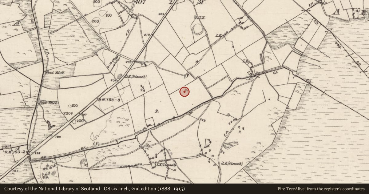 Ordnance Survey six-inch map, 2nd edition (1888–1915) covering the location of Quarry, Lissaniska North, County Galway, with a pin at the register's coordinates