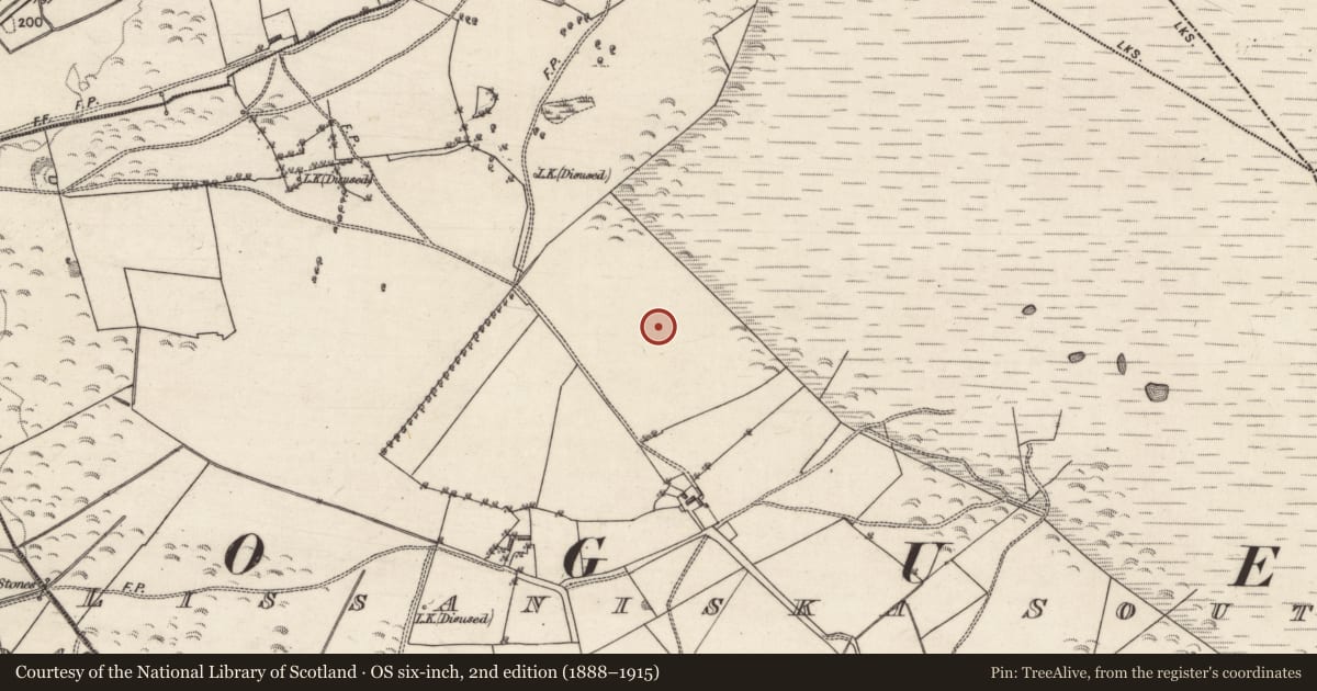 Ordnance Survey six-inch map, 2nd edition (1888–1915) covering the location of Quarry, Lissaniska South, County Galway, with a pin at the register's coordinates