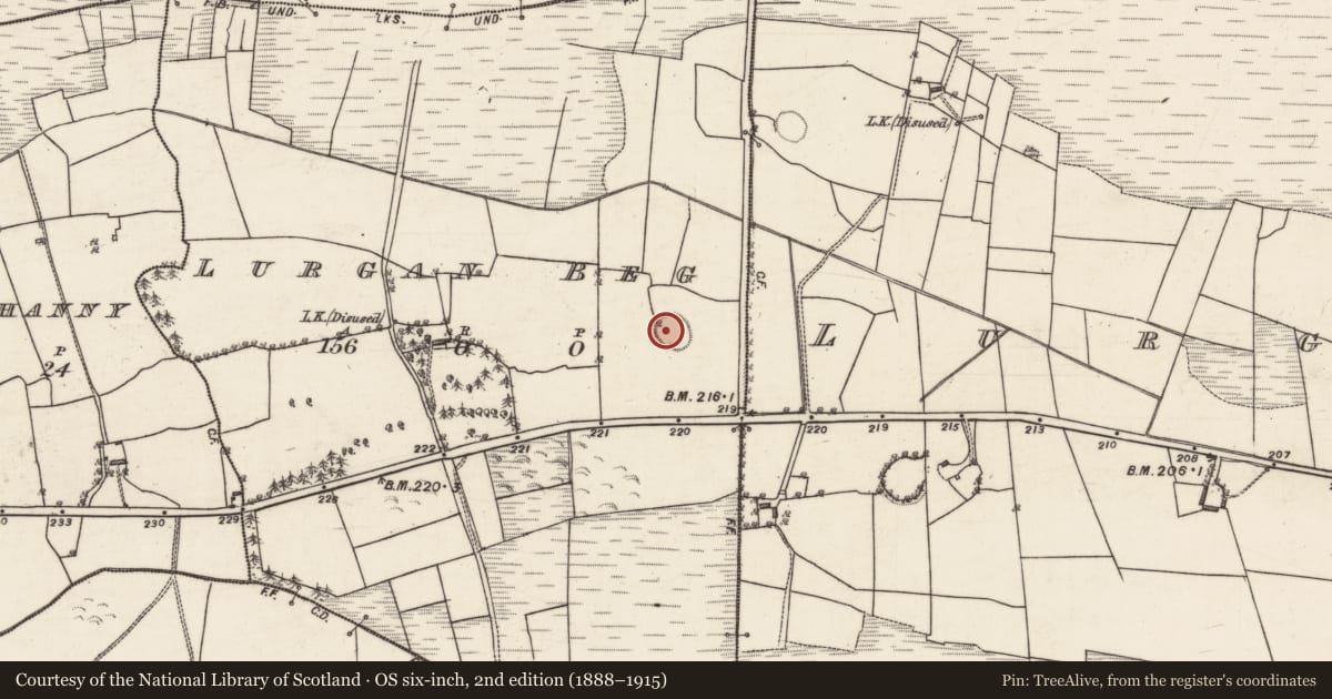Ordnance Survey six-inch map, 2nd edition (1888–1915) covering the location of Ringfort - rath, Lurgan Beg, Lurgan More, County Galway, with a pin at the register's coordinates