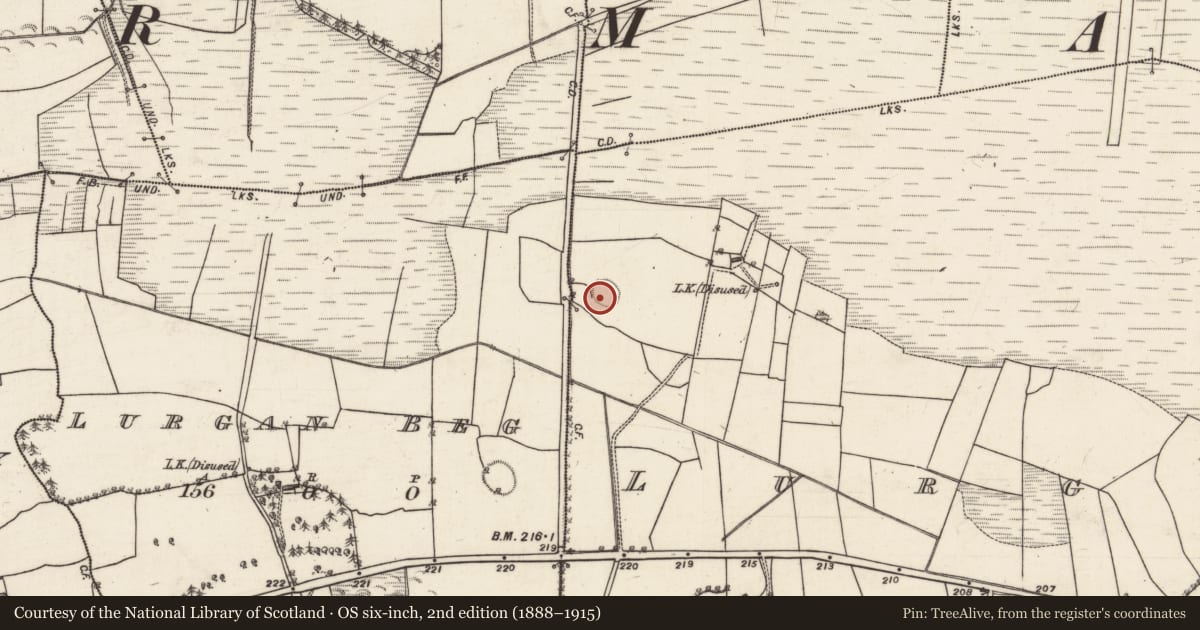 Ordnance Survey six-inch map, 2nd edition (1888–1915) covering the location of Ringfort - rath, Lurgan More, County Galway, with a pin at the register's coordinates